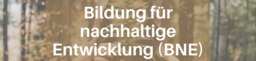 BNE: Bildung für nachhaltige Entwicklung.